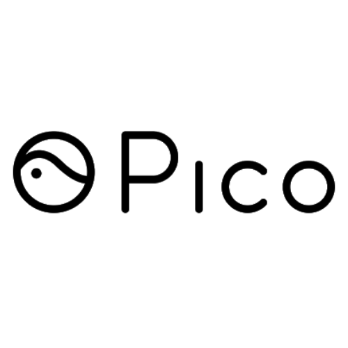Pico Interactive